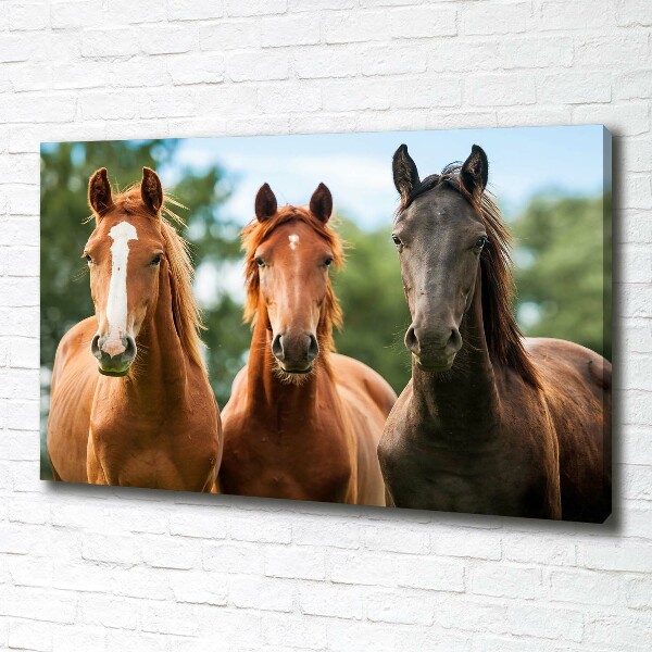 Canvas schilderij Drie paarden