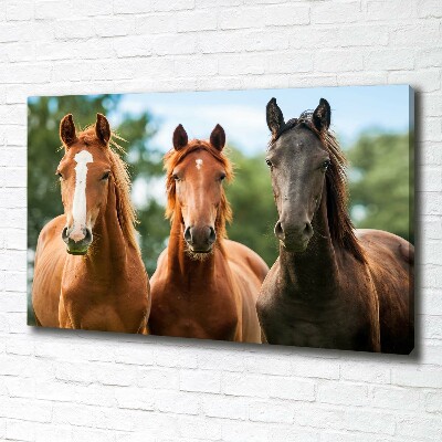 Canvas schilderij Drie paarden