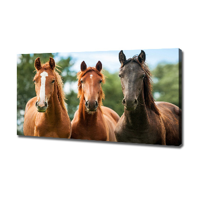 Canvas schilderij Drie paarden