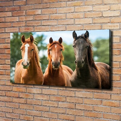 Canvas schilderij Drie paarden