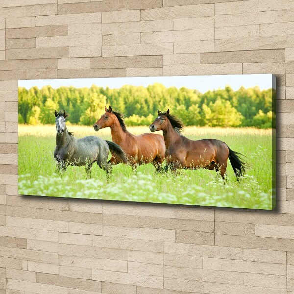 Schilderij op canvas Paarden in galop