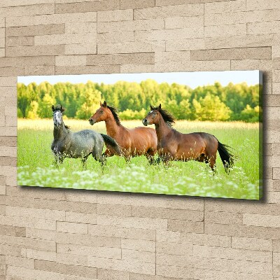 Schilderij op canvas Paarden in galop