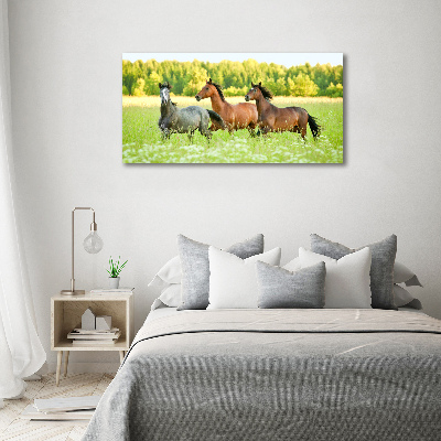Schilderij op canvas Paarden in galop