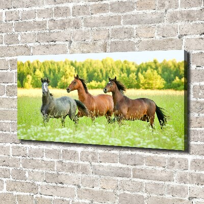 Schilderij op canvas Paarden in galop