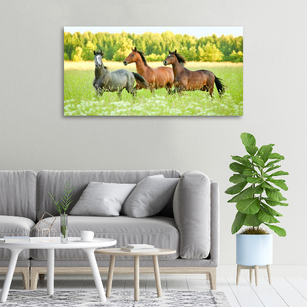 Schilderij op canvas Paarden in galop