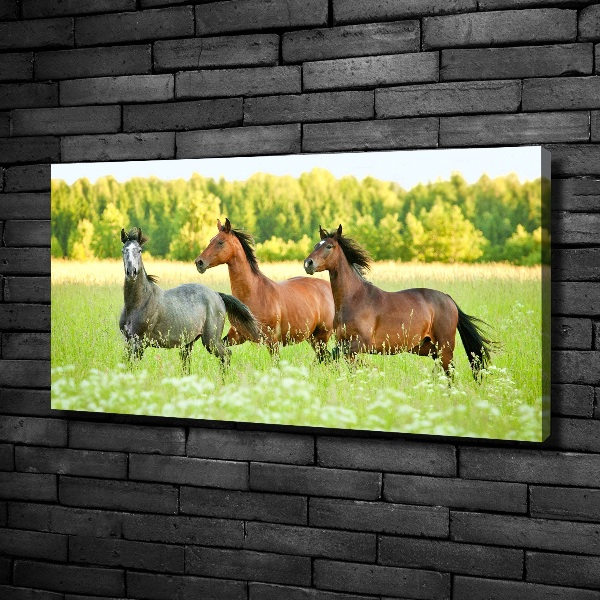 Schilderij op canvas Paarden in galop