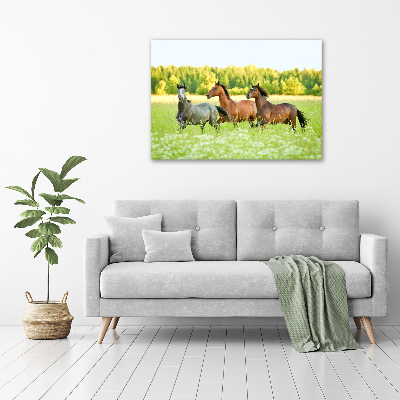 Schilderij op canvas Paarden in galop