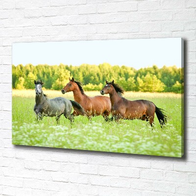 Schilderij op canvas Paarden in galop