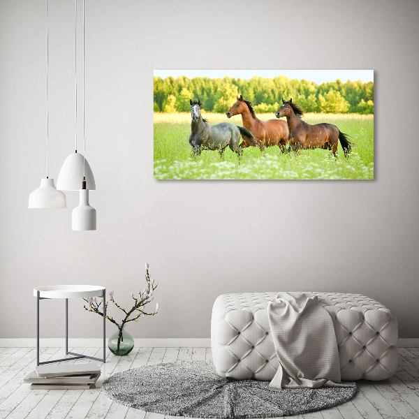 Schilderij op canvas Paarden in galop