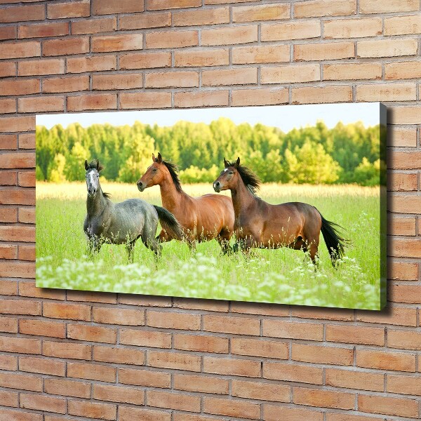 Schilderij op canvas Paarden in galop
