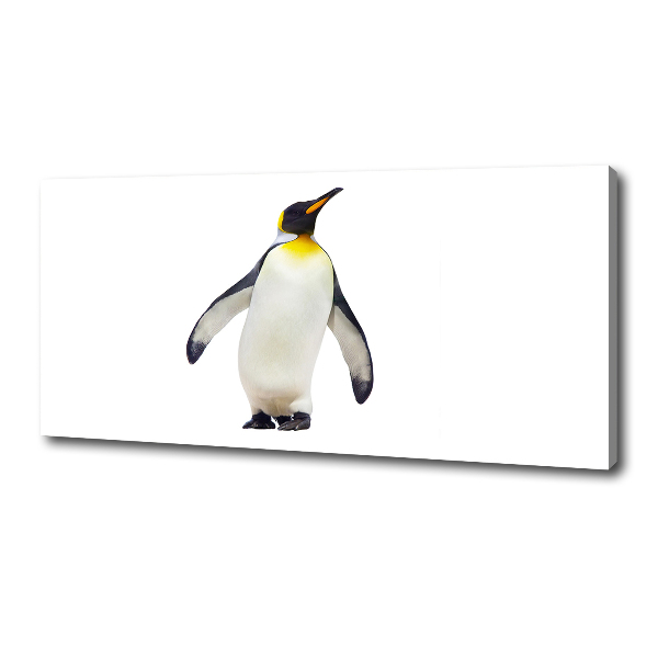Foto canvas Pinguïn