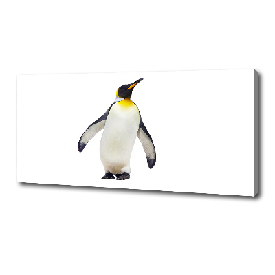 Foto canvas Pinguïn