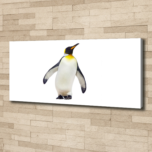 Foto canvas Pinguïn
