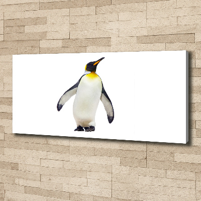 Foto canvas Pinguïn