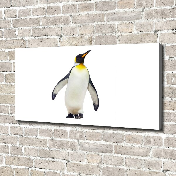Foto canvas Pinguïn
