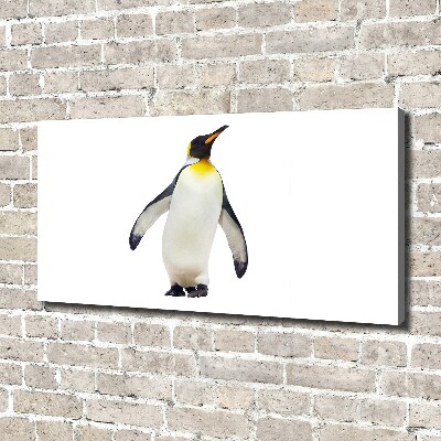 Foto canvas Pinguïn