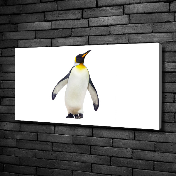 Foto canvas Pinguïn