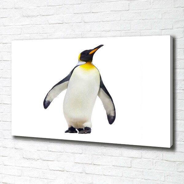 Foto canvas Pinguïn