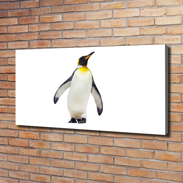 Foto canvas Pinguïn