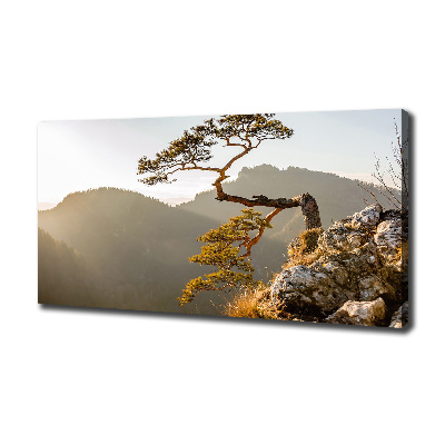 Schilderij op canvas Sokolica Pieniny