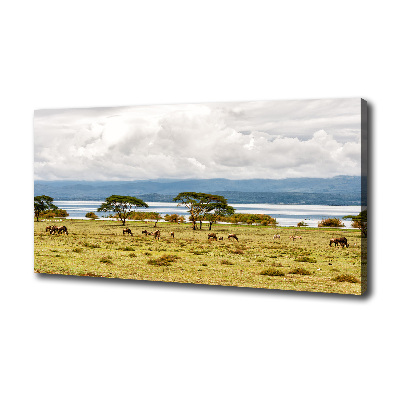 Foto op canvas Naivasha-meer