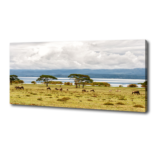 Foto op canvas Naivasha-meer