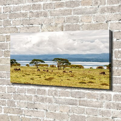 Foto op canvas Naivasha-meer