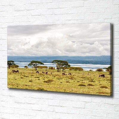 Foto op canvas Naivasha-meer