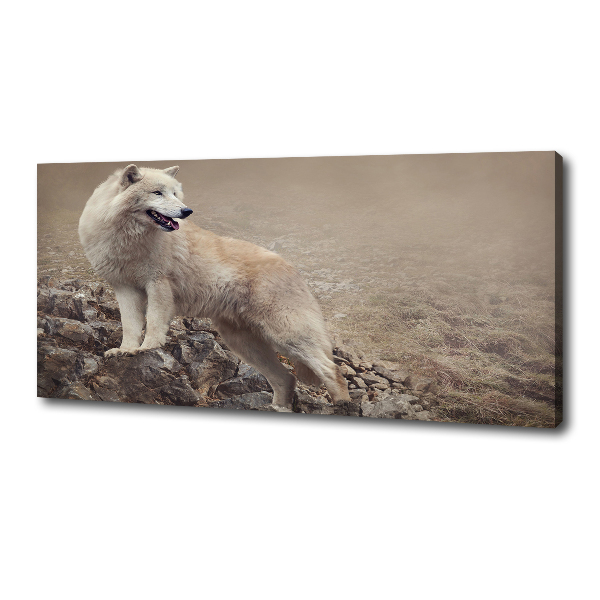 Canvas foto Witte wolf op een rots