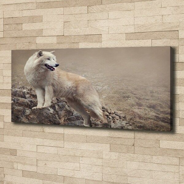 Canvas foto Witte wolf op een rots