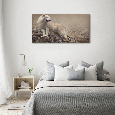 Canvas foto Witte wolf op een rots