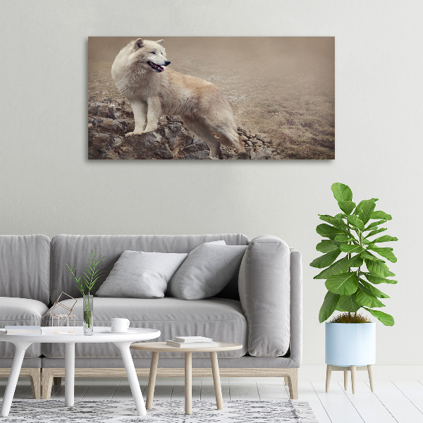 Canvas foto Witte wolf op een rots