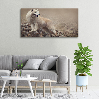 Canvas foto Witte wolf op een rots