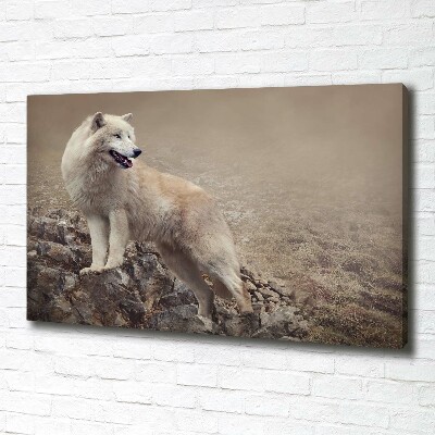 Canvas foto Witte wolf op een rots