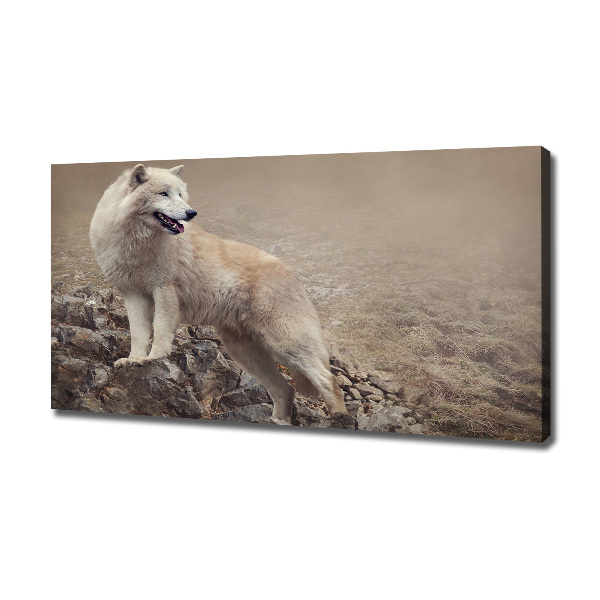 Canvas foto Witte wolf op een rots
