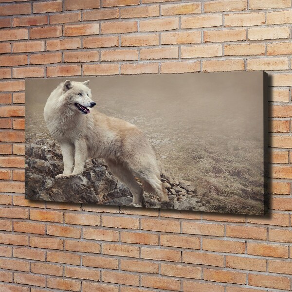 Canvas foto Witte wolf op een rots