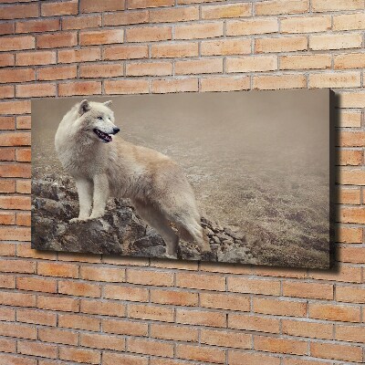Canvas foto Witte wolf op een rots