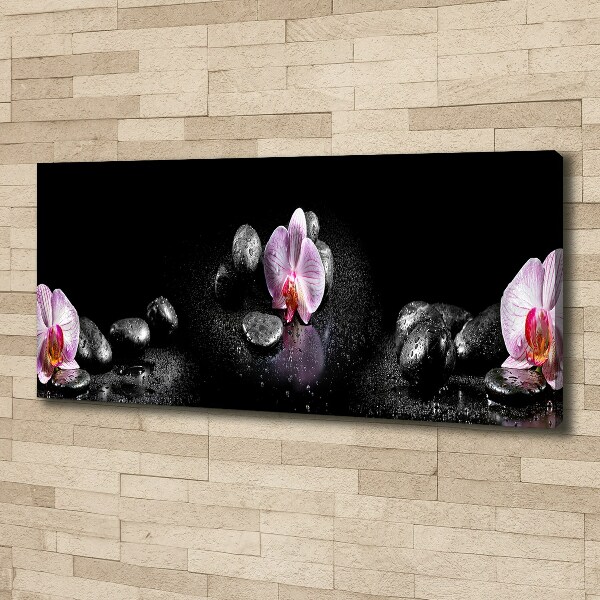 Canvas schilderij Orchidee