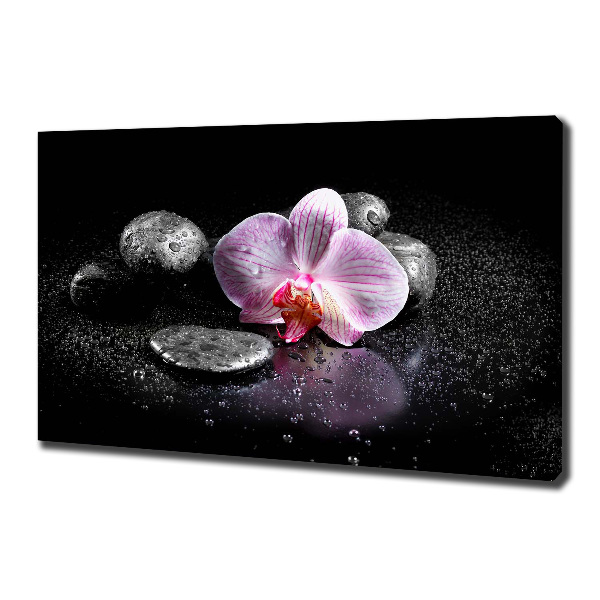 Canvas schilderij Orchidee