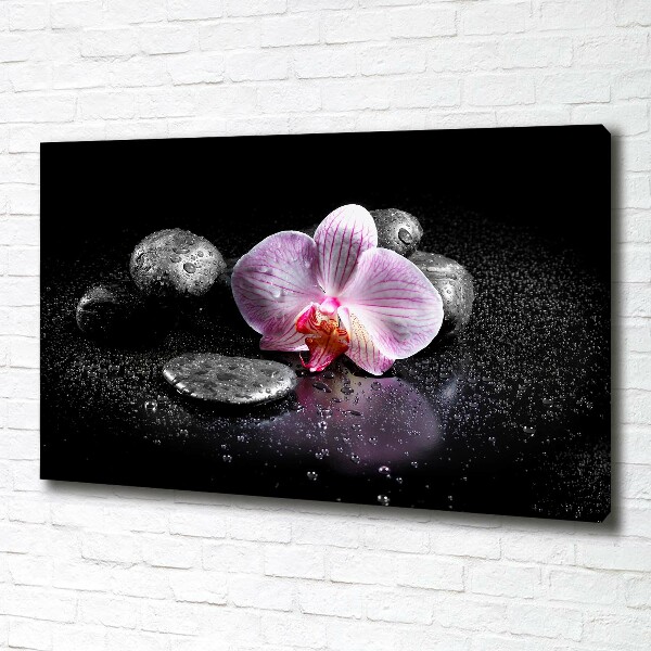 Canvas schilderij Orchidee