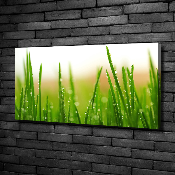 Schilderij op canvas Gras