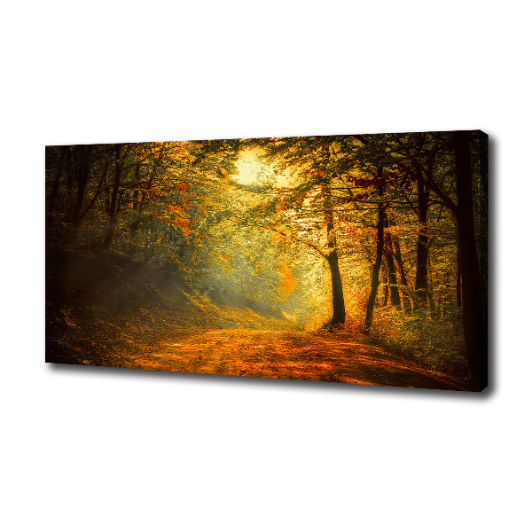 Foto op canvas Bos in de herfst