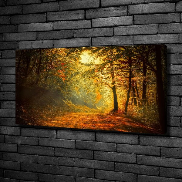Foto op canvas Bos in de herfst