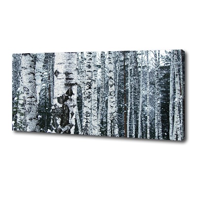 Foto canvas Berkenbomen