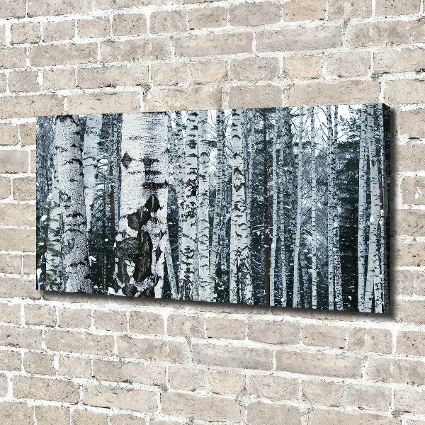 Foto canvas Berkenbomen