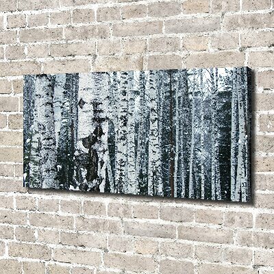Foto canvas Berkenbomen