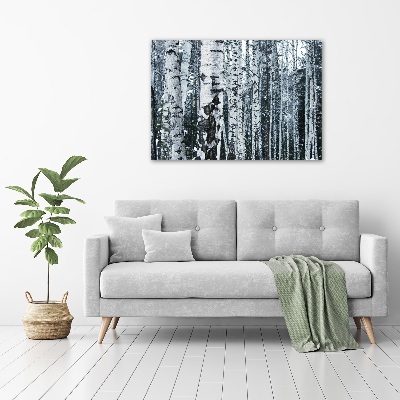Foto canvas Berkenbomen