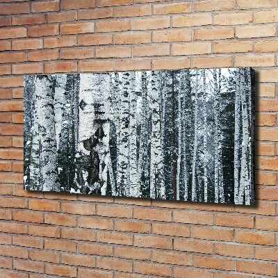 Foto canvas Berkenbomen