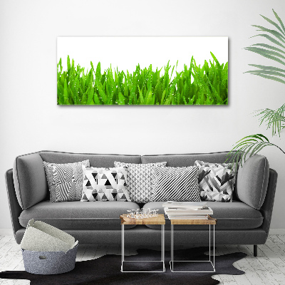 Foto op canvas Gras