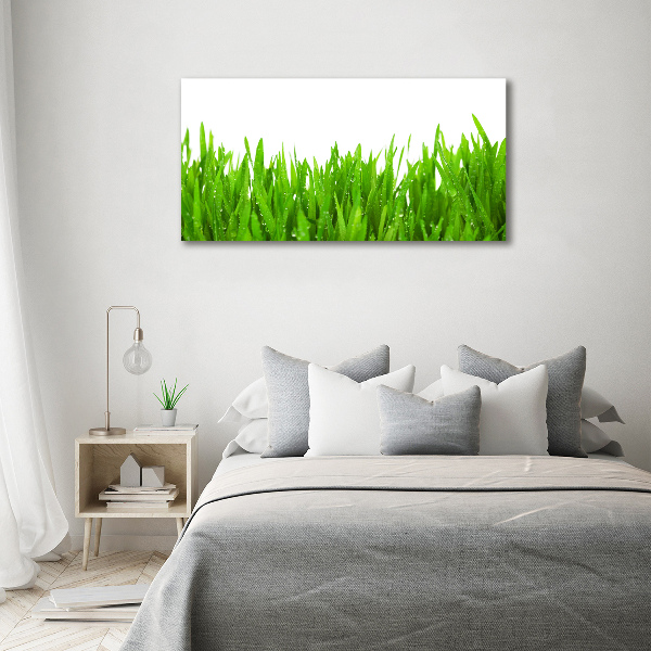 Foto op canvas Gras